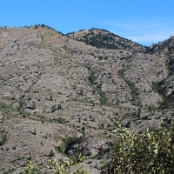 Mount St. Helens 19
